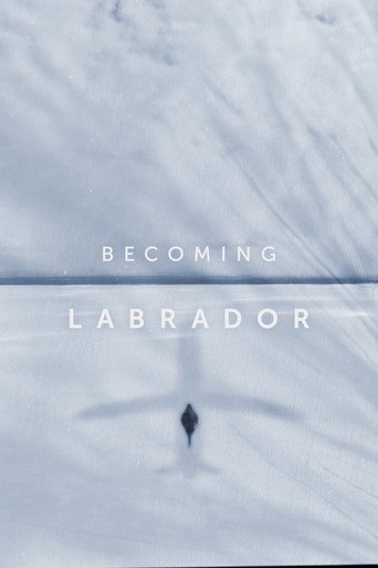 Movie poster for Becoming Labrador (2019)