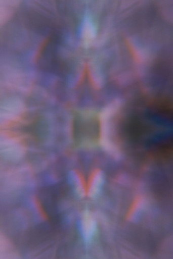 Movie poster for Orchid (2025)