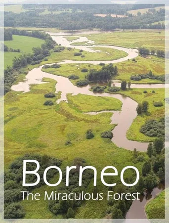 Movie poster for Bornéo, la forêt miraculée (2025)