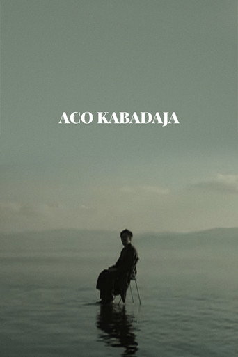 Movie poster for Aco Kabadaya (2011)