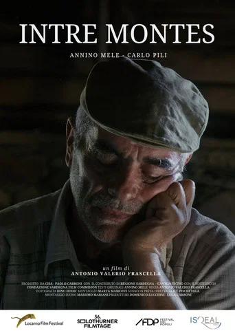 Movie poster for Intre montes