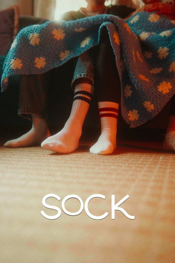Movie poster for Sock
