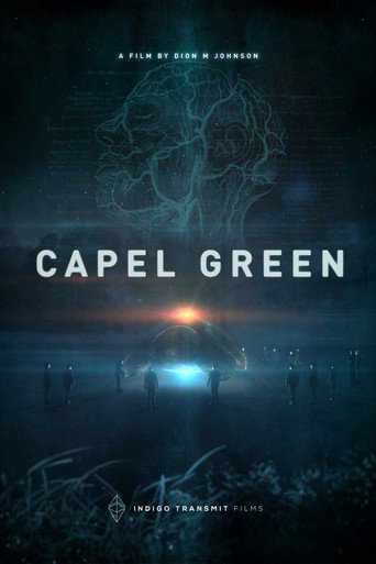 Movie poster for Capel Green (2025)