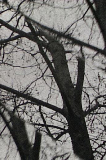 Movie poster for Triple Exposure (2013)