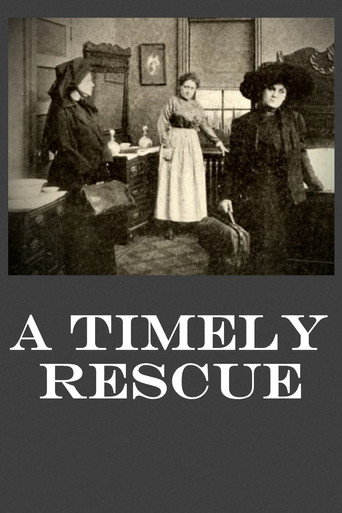 Movie poster for A Timely Rescue (1913)
