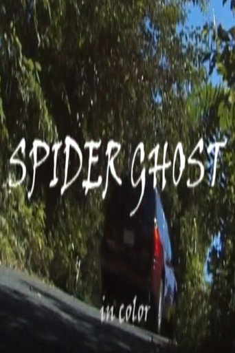 Movie poster for Spider Ghost (2006)