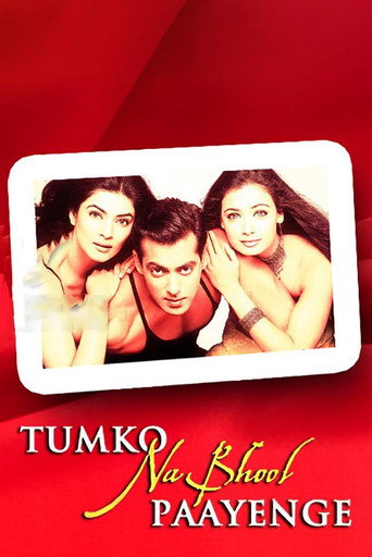 Movie poster for Tumko Na Bhool Paayenge (2002)