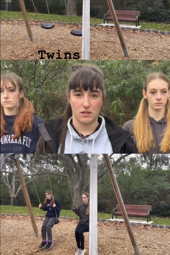 Movie poster for Twins (2022)