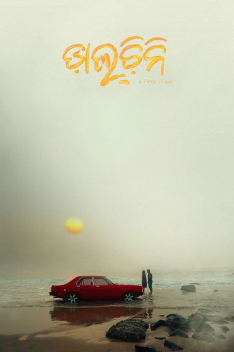 Movie poster for Daalcheeni (2024)
