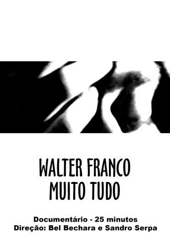 Movie poster for Walter Franco Much Everything (2000)
