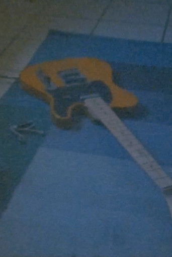 CATSIT commands poster