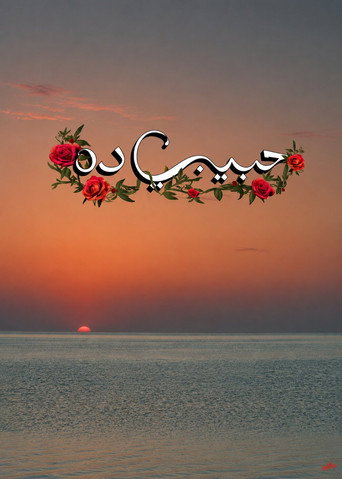 Movie poster for Habeeby Da (2025)