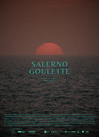 Movie poster for Salerno-Goulette (2024)