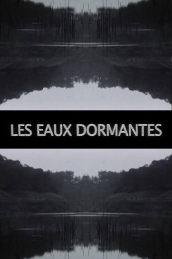 Movie poster for Les Eaux dormantes (2016)