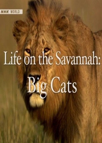 Movie poster for Life on the Savannah: Big Cats (2010)
