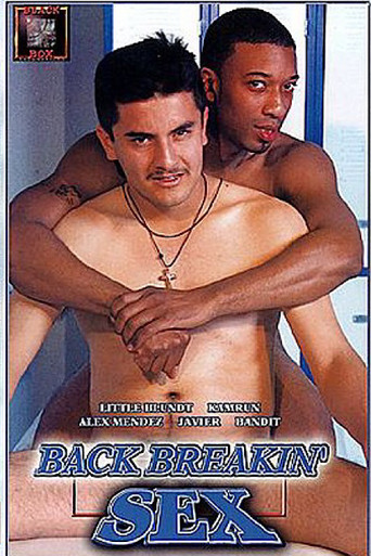 Movie poster for Back Breakin' Sex (2001)