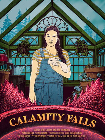 Movie poster for Calamity Falls (2018)