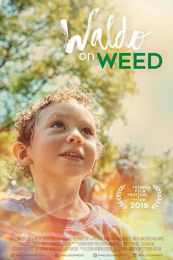 Movie poster for Waldo on Weed (2019)