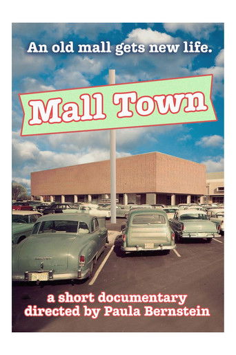 Mall Town poster