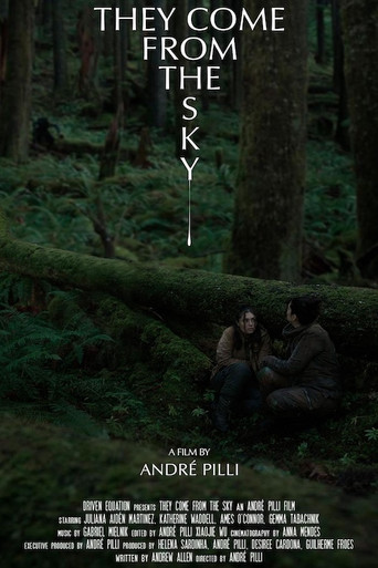 They Come From the Sky poster