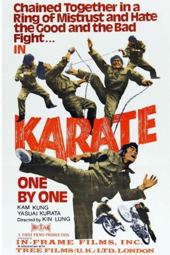 Movie poster for Kung Fu Powerhouse (1973)