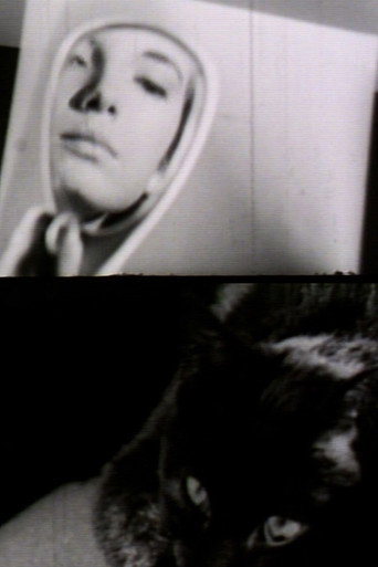 Movie poster for Lettere (1965)