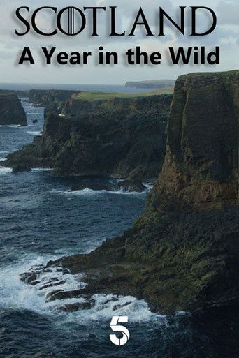 Scotland: A Year In The Wild poster