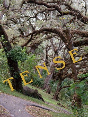 Movie poster for Tense (2024)