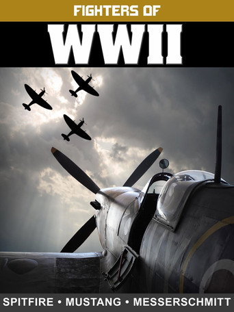 Movie poster for Fighters of WWII: Spitfire, Mustang, and Messerschmitt (2017)