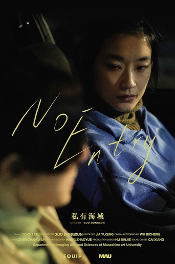 Movie poster for No Entry (2020)