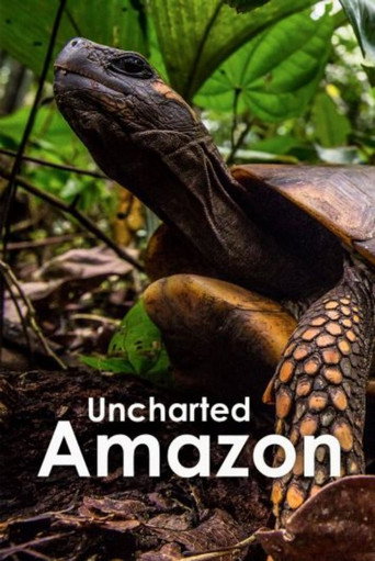 Movie poster for Uncharted Amazon (2016)
