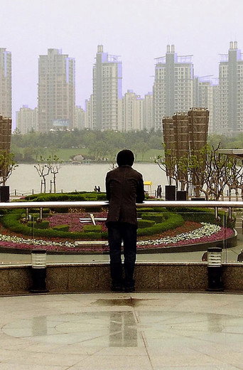 Movie poster for Mr. Wong's World (2007)