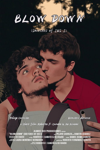 Movie poster for Blow Down (2024)