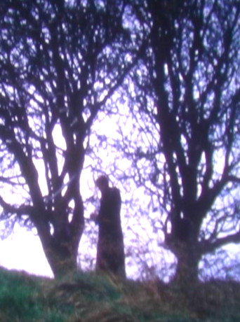 Movie poster for Tír na nÓg (2008)