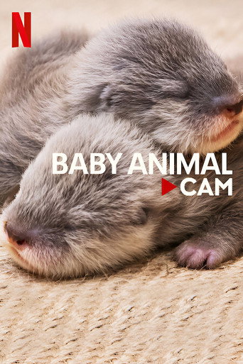 Series poster for Baby Animal Cam (2023)