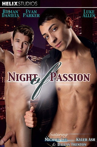 Movie poster for Night of Passion (2013)