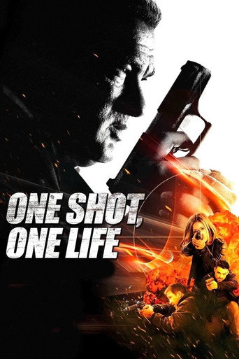 Movie poster for One Shot, One Life (2012)