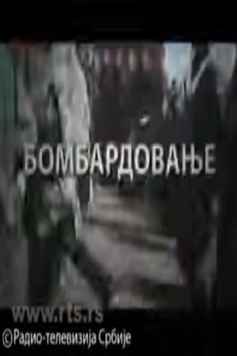 Series poster for Bombardment (2009)