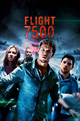 Flight 7500 poster