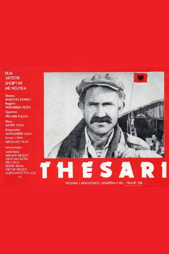 Movie poster for The Treasure (1981)