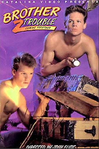 Movie poster for Brother Trouble 2: Coming Together (1990)