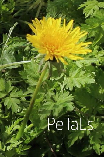 PeTaLs poster