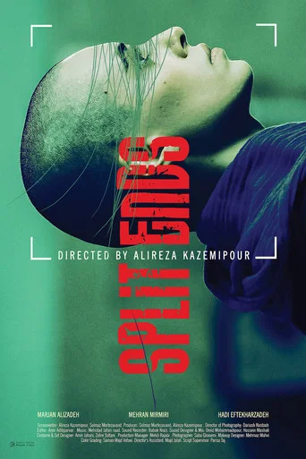 Movie poster for Split Ends (2021)
