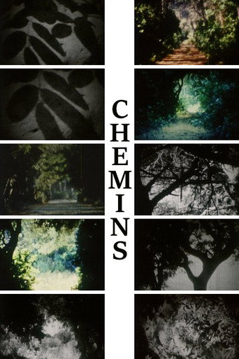 Movie poster for Chemins (2014)