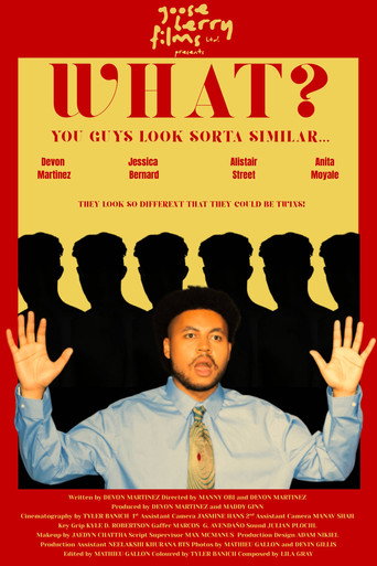 Movie poster for What? You Guys Look Sorta Similar…