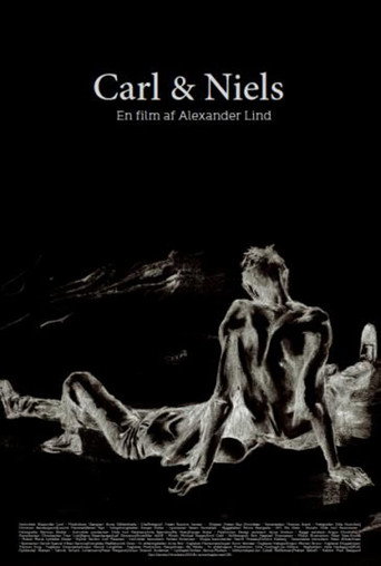 Movie poster for Carl & Niels (2013)