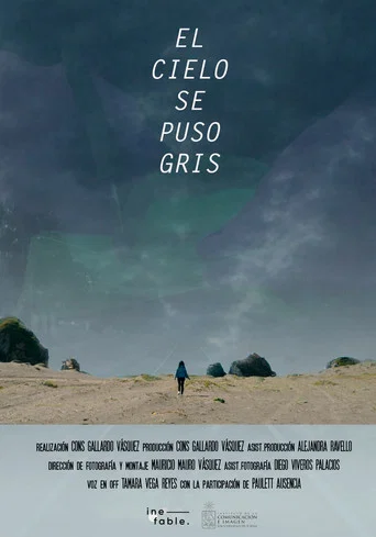 Movie poster for The Sky Turned Gray (2020)