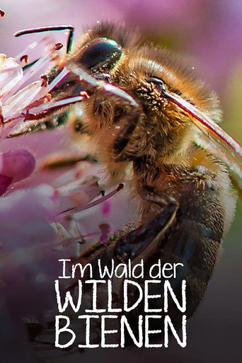 Movie poster for Im Wald der wilden Bienen (2022)