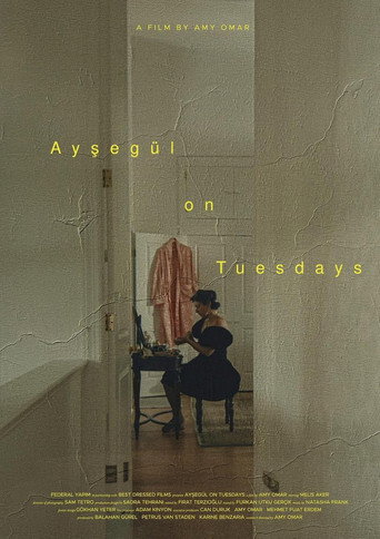 Movie poster for Ayşegül on Tuesdays (2025)