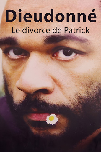 Movie poster for Dieudonné - Le Divorce de Patrick (2003)